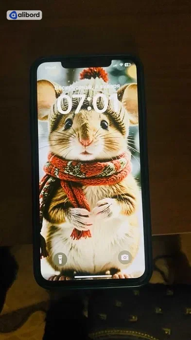 Продам Айфон XS max в ідеальному стані