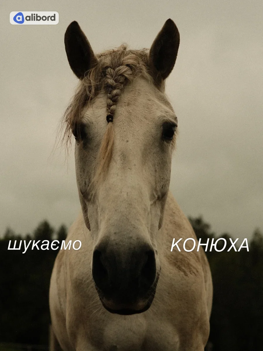 Потрібен різноробочий на кінну ферму