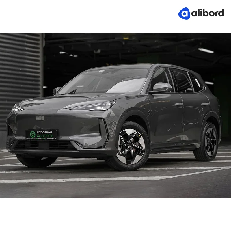 BYD Destroyer 05
