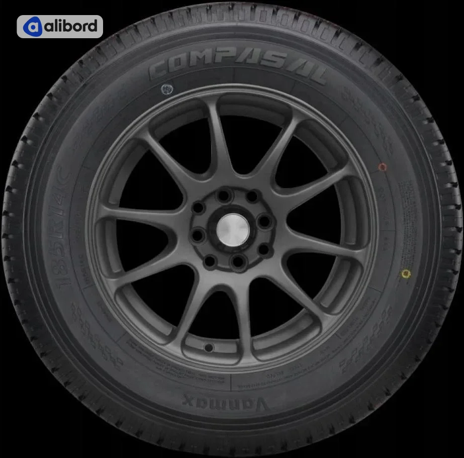 Шина 205/65R16C 107/105T VANMAX (COMPASAL) 2L114H1