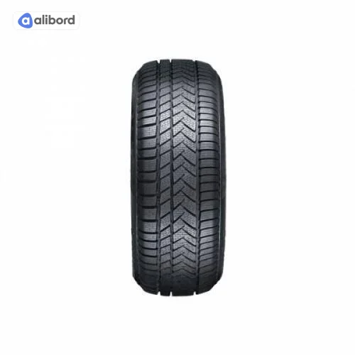 Шина 205/50R17 93V XL NW211 (Sunny) 6349