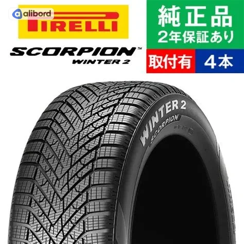 Шина 245/45R20 103V XL Scorpion Winter (Pirelli) 2415500