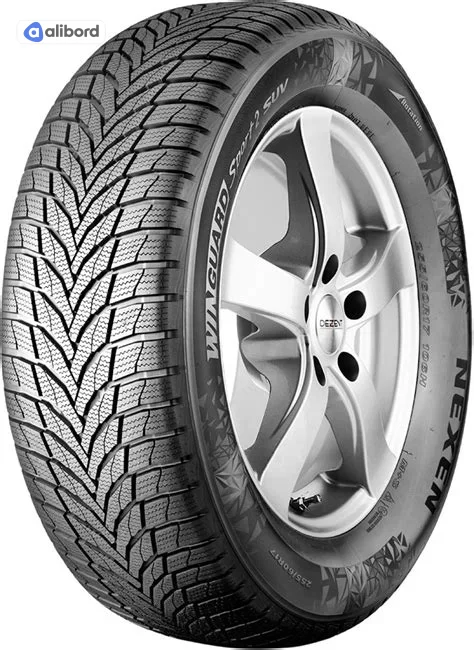 Шина 255/50R19 107V XL WinGuard Sport 2 SUV (Nexen) 15900