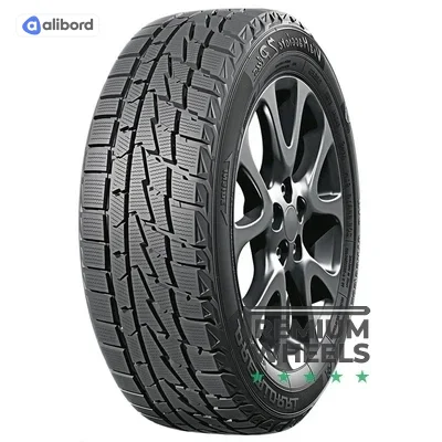 Шина 225/55R17 101H PREMIORRI ViaMaggiore Z Plus (Premiorri) 4823100305464