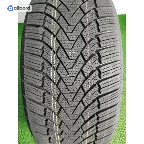 Шина 245/45R18 100H XL W686 (Ecovision) під шип 2454518W686