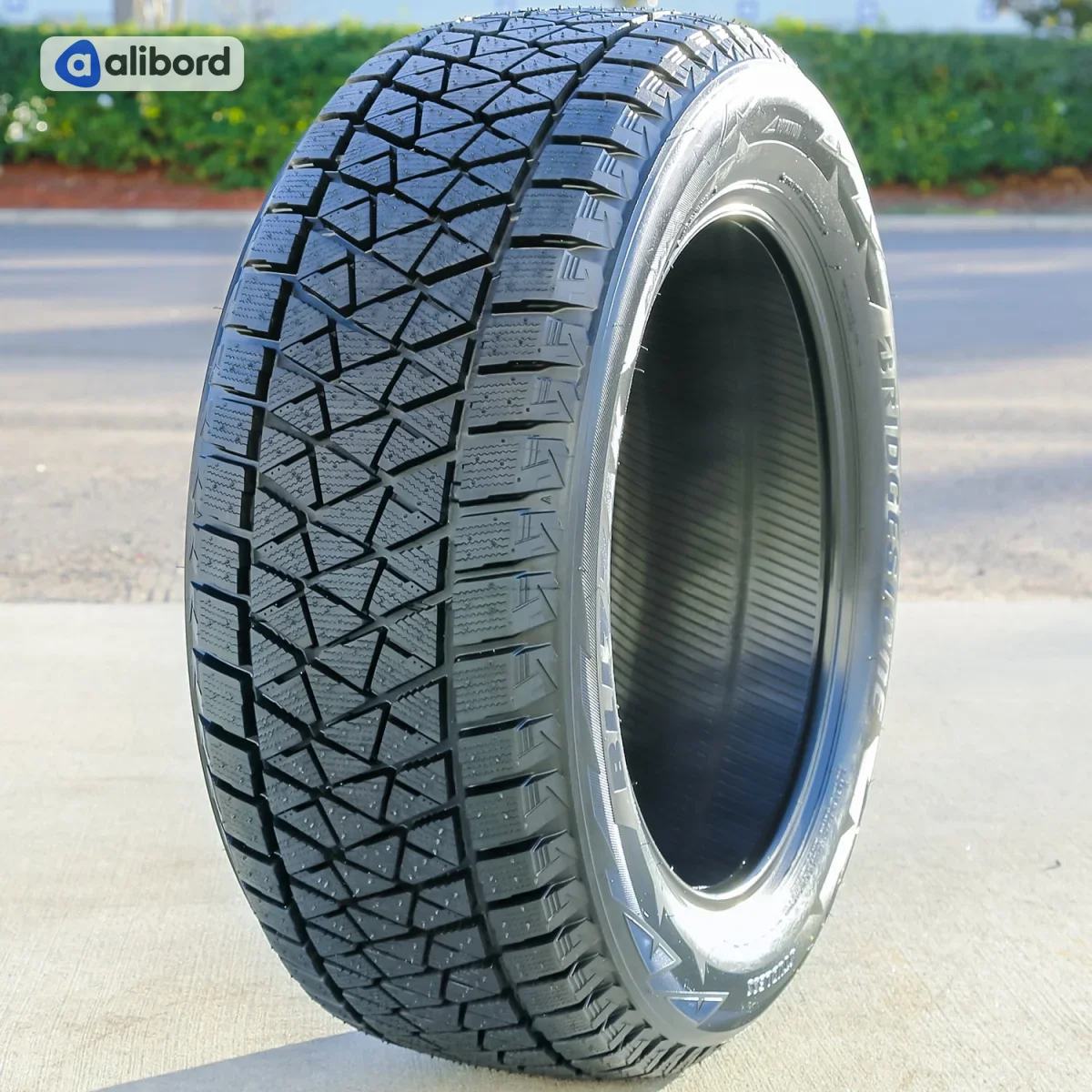 Шина 255/50R19 107T XL Blizzak DM-V2 (Bridgestone) 9112