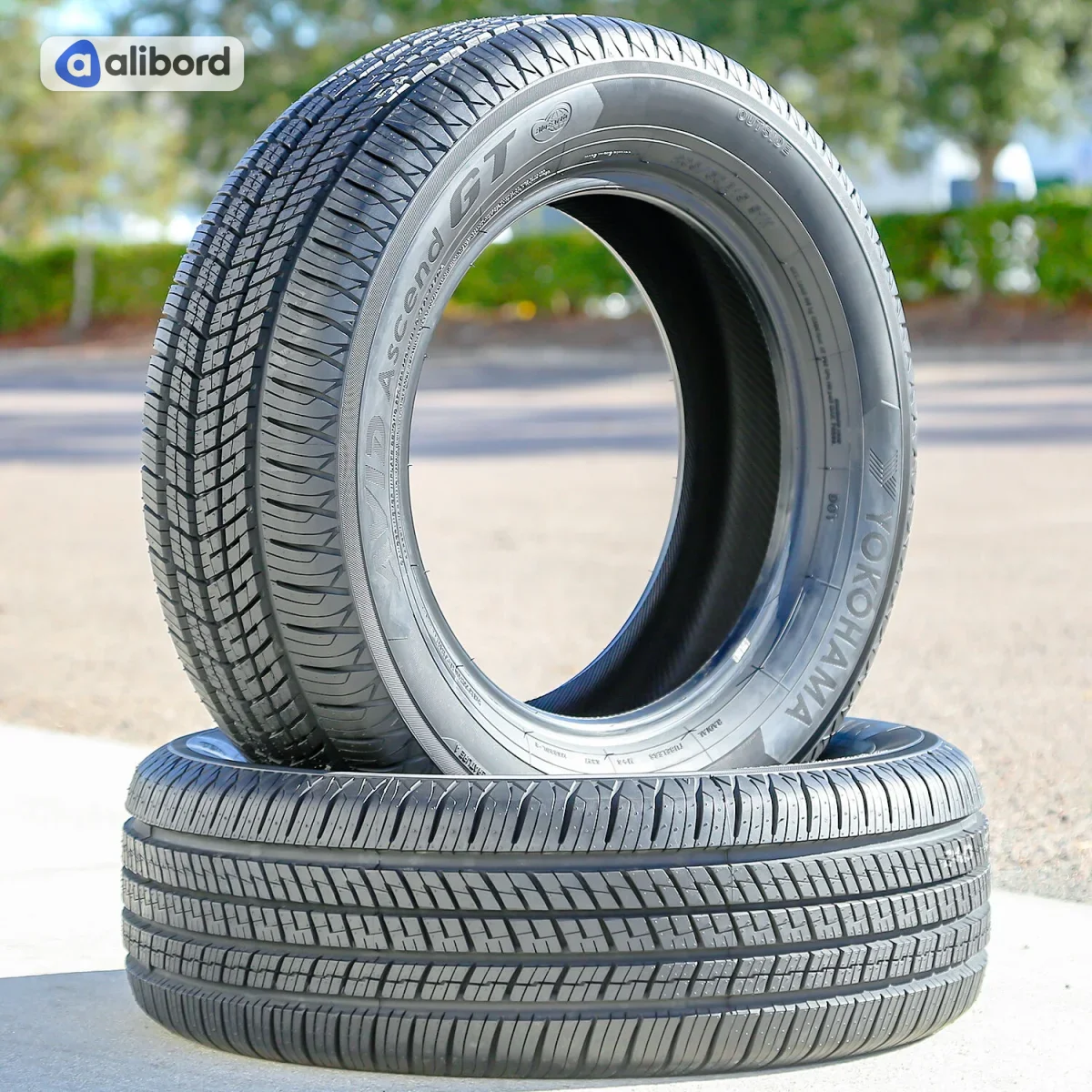 Шина 205/55R16 91H W686 під шип (Ecovision) 2055516W686