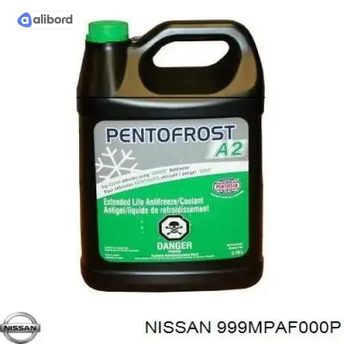 Антифриз концентрат NISSAN L248SP (зелений) (3,78л) 999MPAF000P